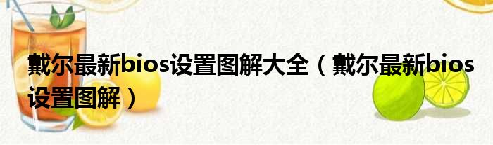 戴尔最新bios设置图解大全（戴尔最新bios设置图解）