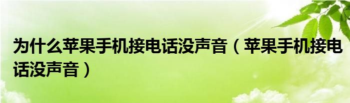 为什么苹果手机接电话没声音（苹果手机接电话没声音）