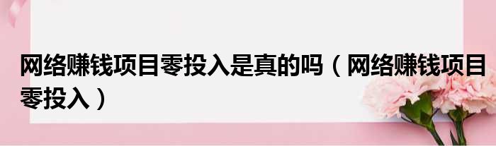 网络赚钱项目零投入是真的吗（网络赚钱项目零投入）