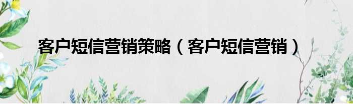 客户短信营销策略（客户短信营销）