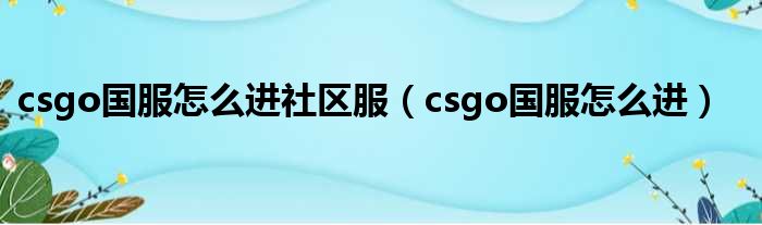 csgo国服怎么进社区服（csgo国服怎么进）