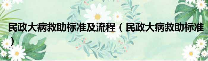 民政大病救助标准及流程（民政大病救助标准）