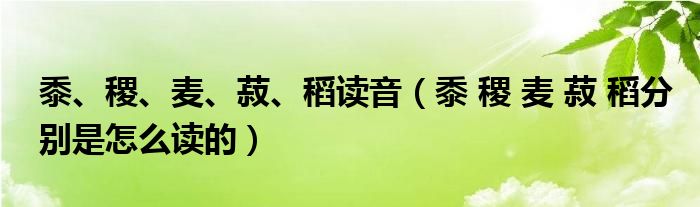 黍、稷、麦、菽、稻读音（黍 稷 麦 菽 稻分别是怎么读的）