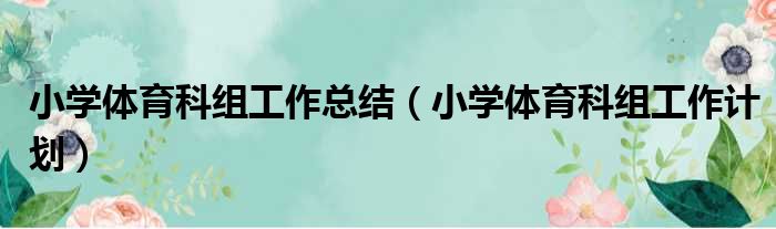 小学体育科组工作总结（小学体育科组工作计划）