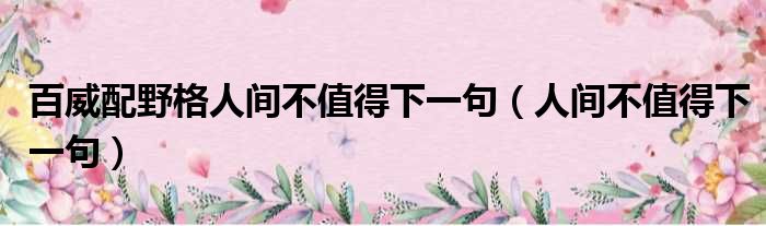 百威配野格人间不值得下一句（人间不值得下一句）