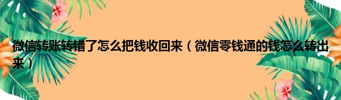 微信转账转错了怎么把钱收回来（微信零钱通的钱怎么转出来）