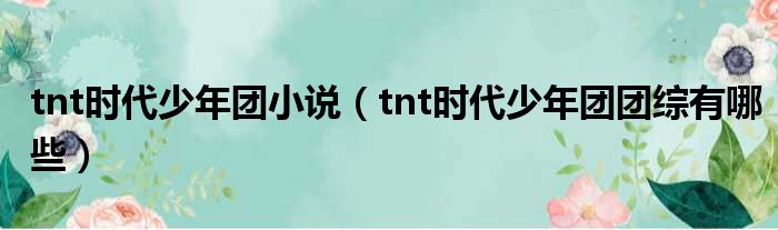 tnt时代少年团小说（tnt时代少年团团综有哪些）