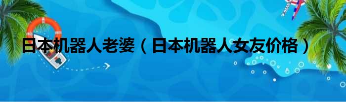 日本机器人老婆（日本机器人女友价格）