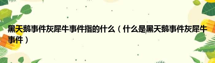 黑天鹅事件灰犀牛事件指的什么（什么是黑天鹅事件灰犀牛事件）