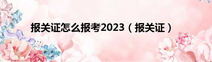 报关证怎么报考2023（报关证）