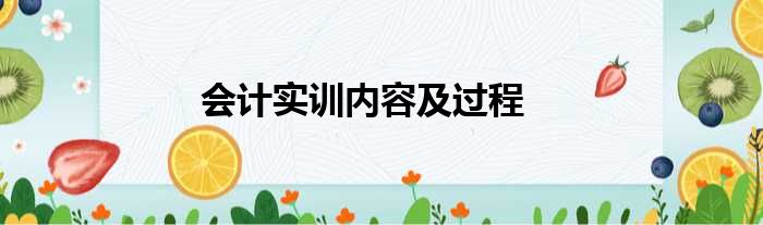 会计实训内容及过程