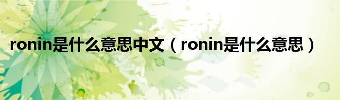 ronin是什么意思中文（ronin是什么意思）