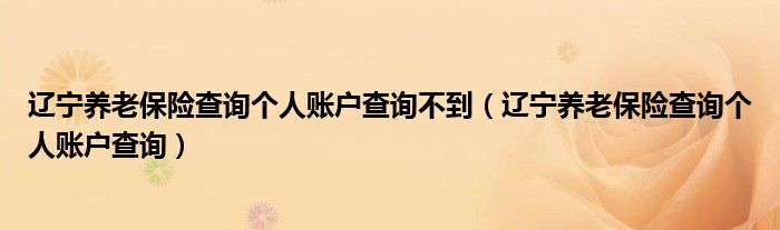 辽宁养老保险查询个人账户查询不到（辽宁养老保险查询个人账户查询）