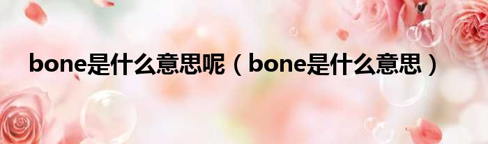 bone是什么意思呢（bone是什么意思）