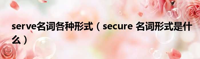 serve名词各种形式（secure 名词形式是什么）
