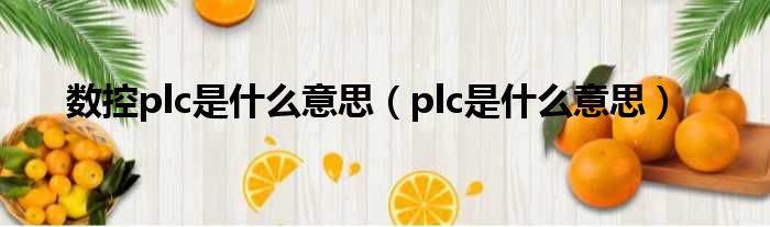 数控plc是什么意思（plc是什么意思）