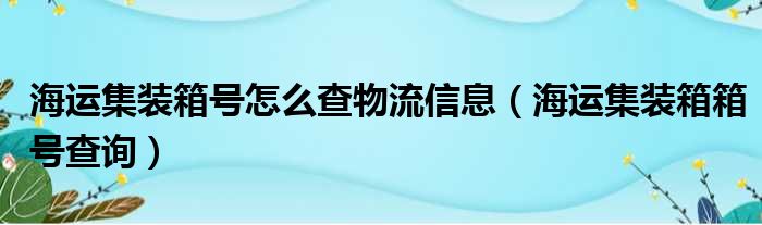 海运集装箱号怎么查物流信息（海运集装箱箱号查询）