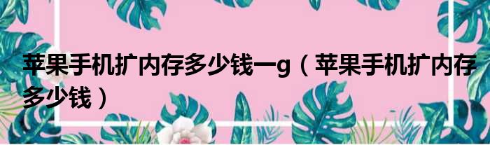 苹果手机扩内存多少钱一g（苹果手机扩内存多少钱）