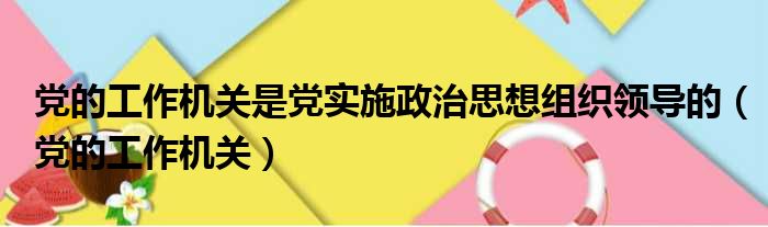 党的工作机关是党实施政治思想组织领导的（党的工作机关）