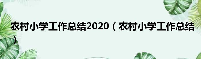 农村小学工作总结2020（农村小学工作总结）