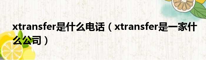 xtransfer是什么电话（xtransfer是一家什么公司）