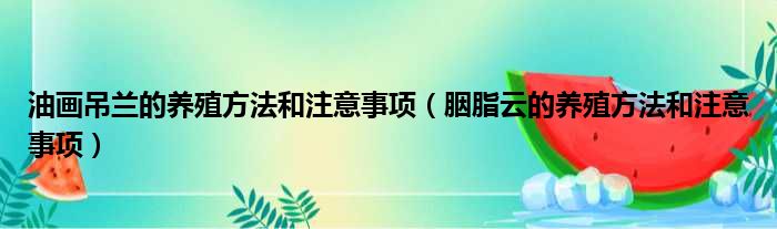 油画吊兰的养殖方法和注意事项（胭脂云的养殖方法和注意事项）