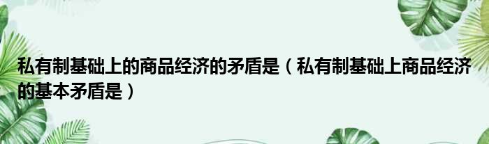 私有制基础上的商品经济的矛盾是（私有制基础上商品经济的基本矛盾是）