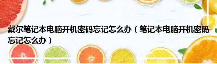 戴尔笔记本电脑开机密码忘记怎么办（笔记本电脑开机密码忘记怎么办）