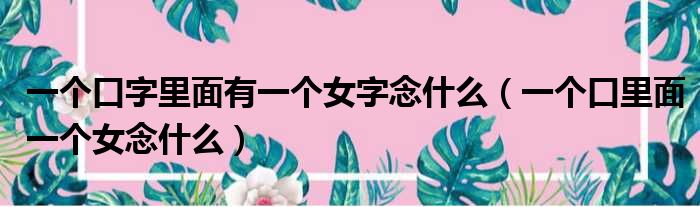 一个口字里面有一个女字念什么（一个口里面一个女念什么）