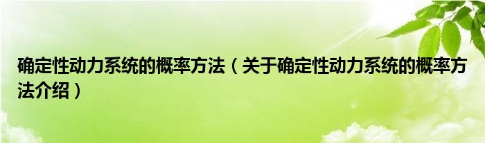  确定性动力系统的概率方法（关于确定性动力系统的概率方法介绍）