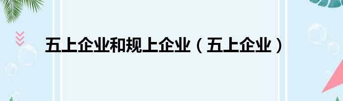 五上企业和规上企业（五上企业）