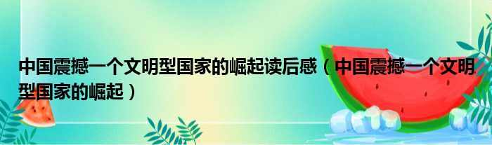 中国震撼一个文明型国家的崛起读后感（中国震撼一个文明型国家的崛起）