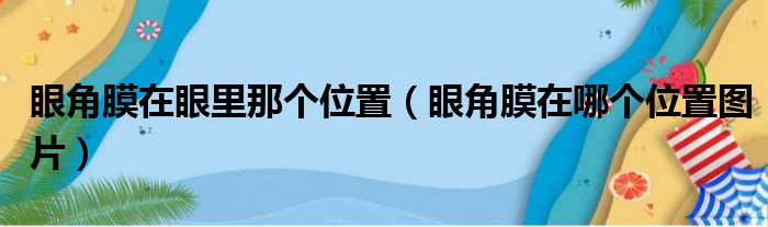 眼角膜在眼里那个位置（眼角膜在哪个位置图片）