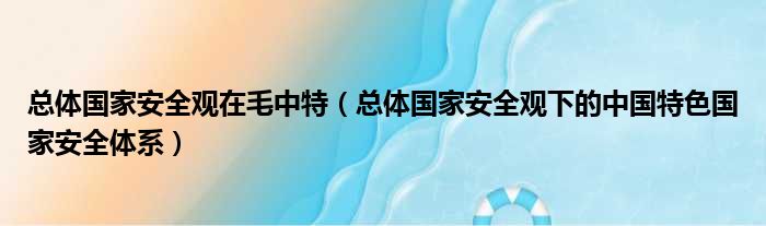 总体国家安全观在毛中特（总体国家安全观下的中国特色国家安全体系）