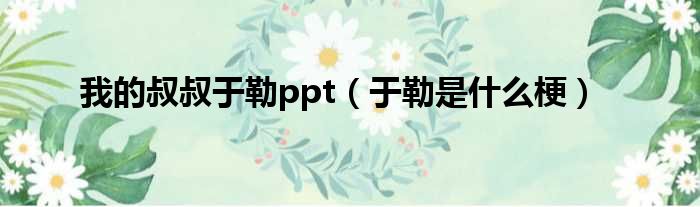 我的叔叔于勒ppt（于勒是什么梗）