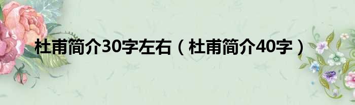 杜甫简介30字左右（杜甫简介40字）