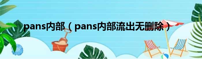 pans内部（pans内部流出无删除）