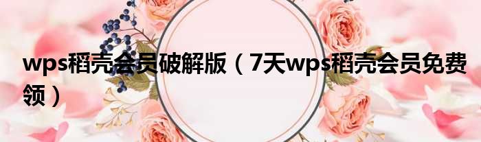 wps稻壳会员破解版（7天wps稻壳会员免费领）