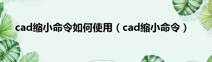 cad缩小命令如何使用（cad缩小命令）