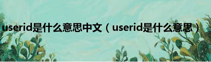 userid是什么意思中文（userid是什么意思）