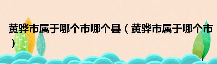 黄骅市属于哪个市哪个县（黄骅市属于哪个市）