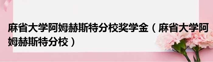 麻省大学阿姆赫斯特分校奖学金（麻省大学阿姆赫斯特分校）