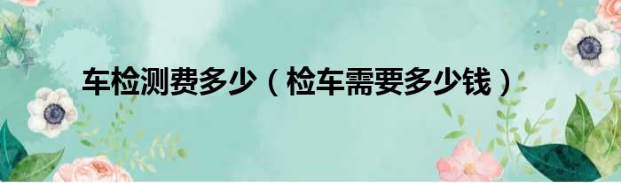 车检测费多少（检车需要多少钱）