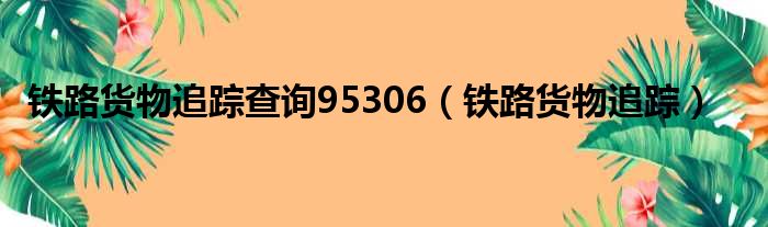 铁路货物追踪查询95306（铁路货物追踪）