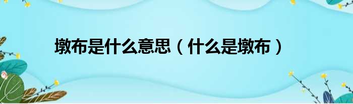 墩布是什么意思（什么是墩布）