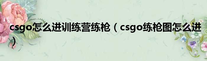 csgo怎么进训练营练枪（csgo练枪图怎么进）