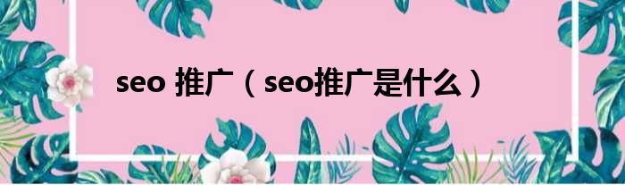 seo 推广（seo推广是什么）