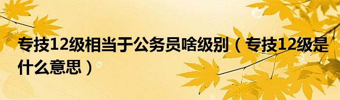 专技12级相当于公务员啥级别（专技12级是什么意思）