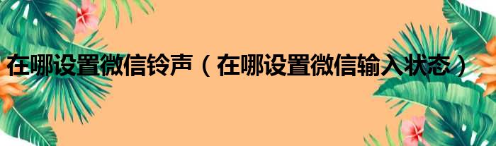 在哪设置微信铃声（在哪设置微信输入状态）