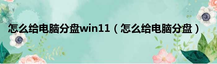 怎么给电脑分盘win11（怎么给电脑分盘）